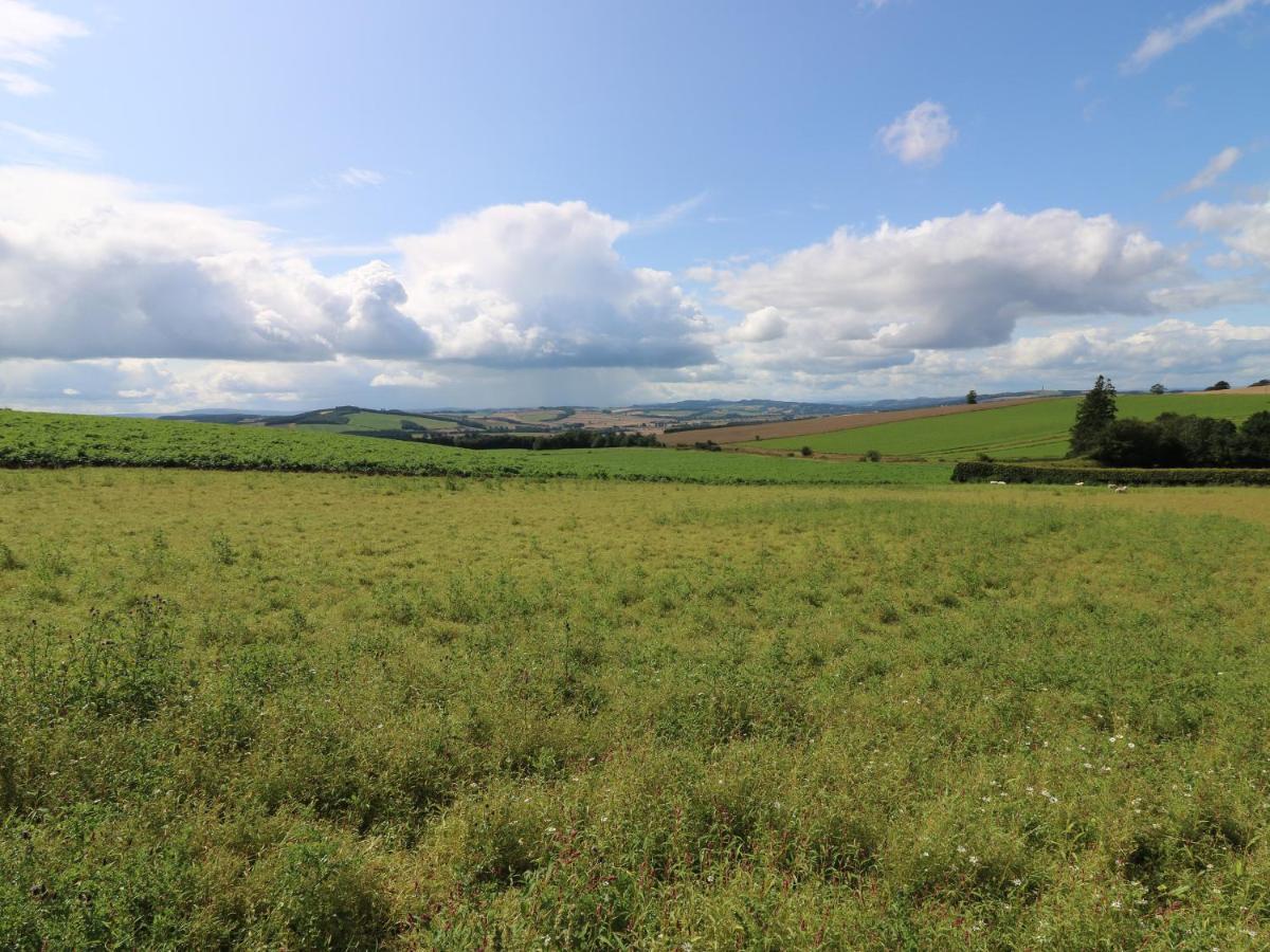 Tiore Kelso Exteriör bild